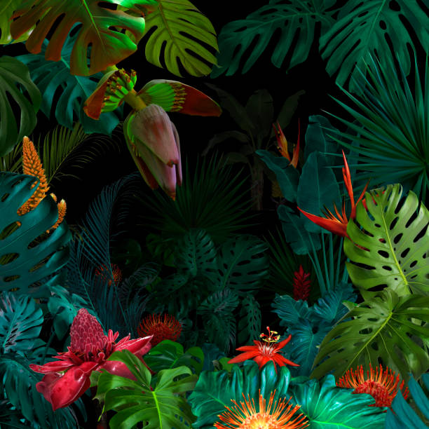Colorful night jungle background Colorful night jungle background tropical flower photos stock pictures, royalty-free photos & images