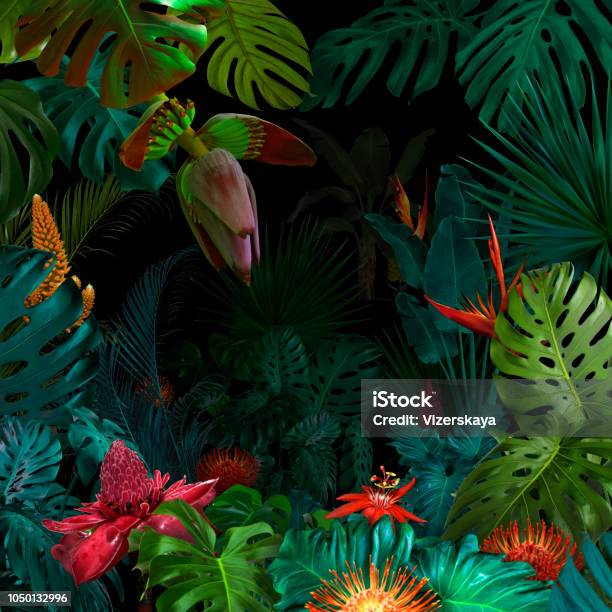 Colorful Night Jungle Background Stock Photo - Download Image Now - Tropical Climate, Backgrounds, Rainforest