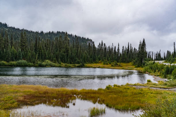 istock Lake in Mt. Rainier. 1050137972
