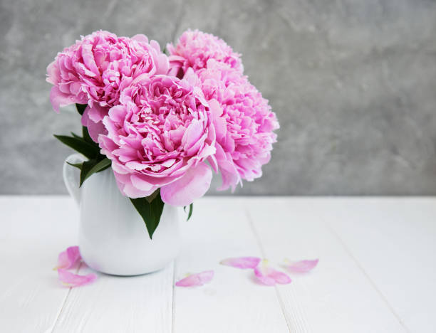 istock Pink peony flowers 1050172246