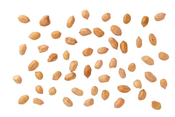 amendoim feijão na cor branca de fundo e o traçado de recorte. - peanut nut snack isolated - fotografias e filmes do acervo