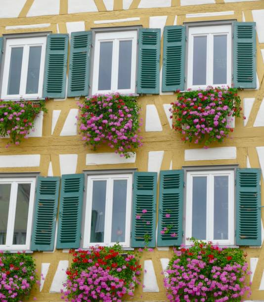 istock Half timbered house facade with flower blossoms 1050184278