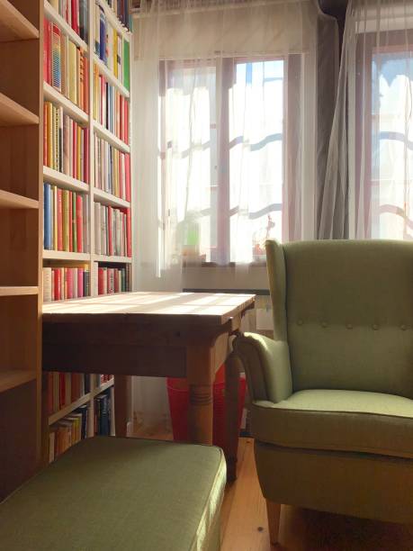istock Green reading chair and  bookshelves in background 1050186866