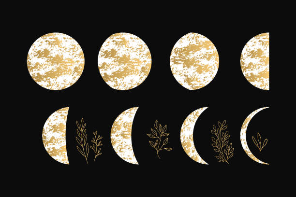 ilustrações de stock, clip art, desenhos animados e ícones de vector illustration of golden moon and crescent with glitter fancy herbs. - symbol computer icon calendar icon set