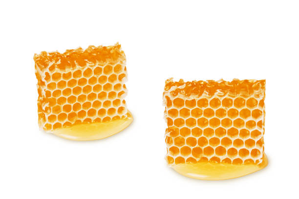 istock Isolated bee honey slice. Two honeycomb piece isolated on white background. 1050200136