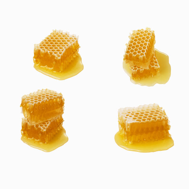 istock Isolated honey. Four honeycomb pieces isolated on white background, 1050200138