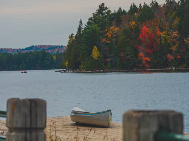 istock single silver canoe standing on wood dock next to lake with colorful fall forest behind in Algonquin Park, Canada 1050203772