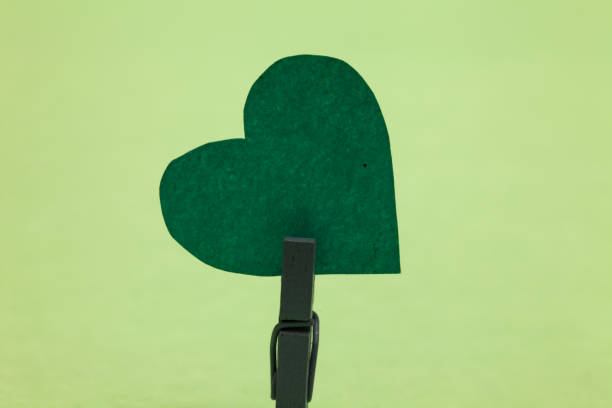 istock Design business Empty copy space text for Ad website promotion isolated Banner template Clothespin holding green paper heart important roanalysistic message ideas 1050205686
