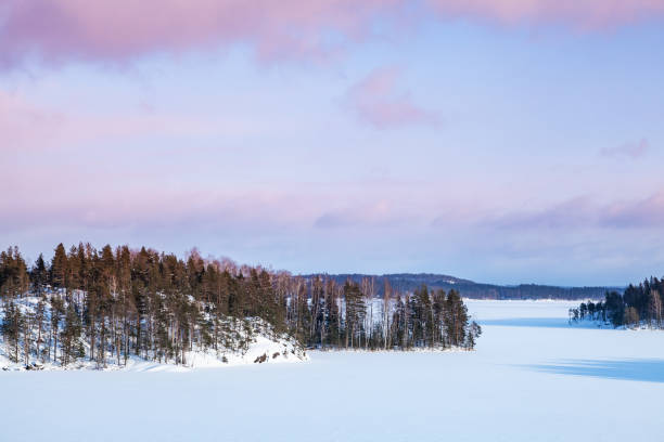 Snowy islands of Saimaa lake. Finland, winter Snowy islands of Saimaa lake. Rural winter landscape, Finland saimaa stock pictures, royalty-free photos & images