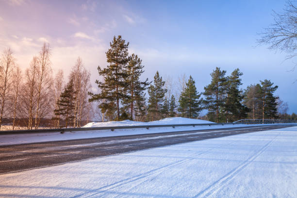 空の農村アスファルト道路視点冬 - winter pine tree nature outdoors ストックフォトと画像