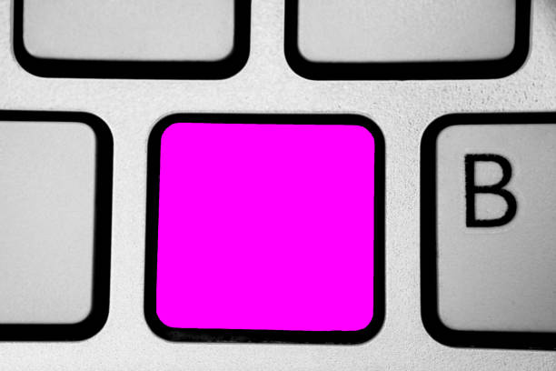 istock Design business Empty copy space text for Ad website promotion isolated Banner template Keyboard purple key Intention create computer computing reflection document 1050207062