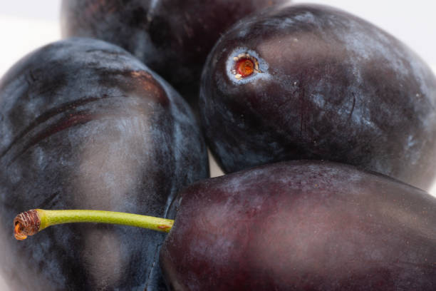 A large image of plum fruit. Limited depth of field