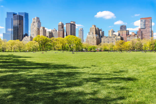 View of New York city skyline from Central park Iconic view of sunlit New York city skyline from flourishing Central Park at spring, with people enjoying the weather during sunny day central park manhattan stock pictures, royalty-free photos & images