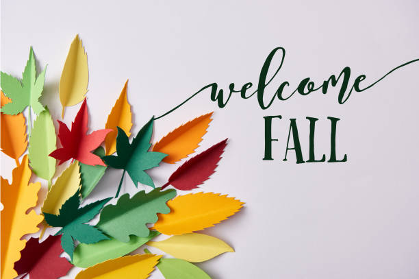 istock flat lay with colorful handmade paper foliage arranged on white background with 