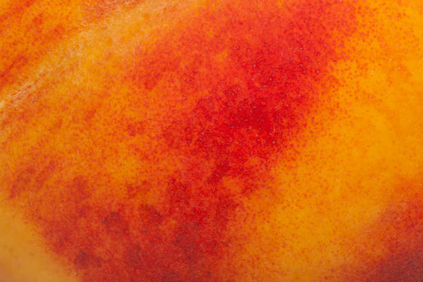 the skin of the peach as a background - peach juice imagens e fotografias de stock