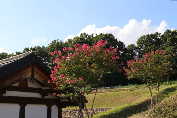 istock Korean traditional architecture background 1050229788