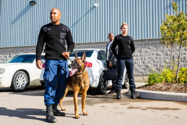 Two K-9 security professionals with a trained Belgian Malinois on a personal protection detail for a VIP client.  Real security professionals, not actors.
