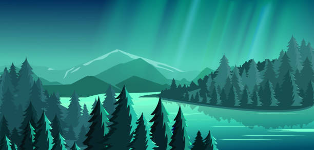 ilustrações de stock, clip art, desenhos animados e ícones de vector illustration of beautiful view with forest, mountains, lake and aurora blue sky with a lot of star, northern lights. travel concept, exploring the world. - lake forest landscape silhouette