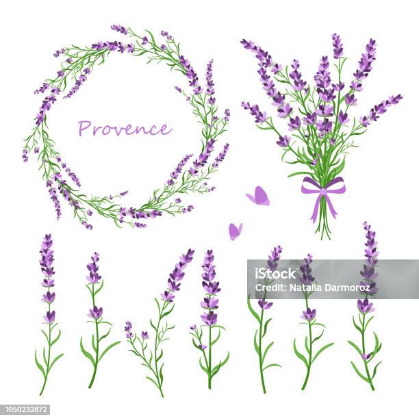 Vector Illustration Set Of Lavender Flowers Bouquet Wreath And Elements Of Design For Greeting Card On White Background In Retro Flat Style Provence Concept Stock Illustration - Download Image Now