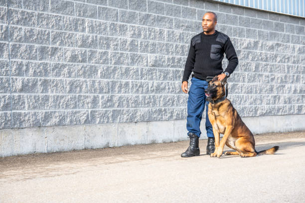 istock A real, trained K-9 handler with his dog 1050246226