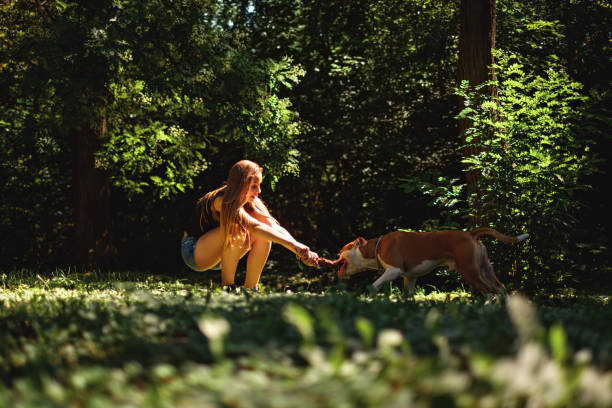 istock Crouching girl pulling branch with her dog 1050251098