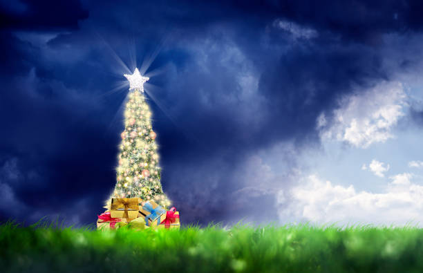istock Christmas tree on green landscape over cloudy sky 1050251696