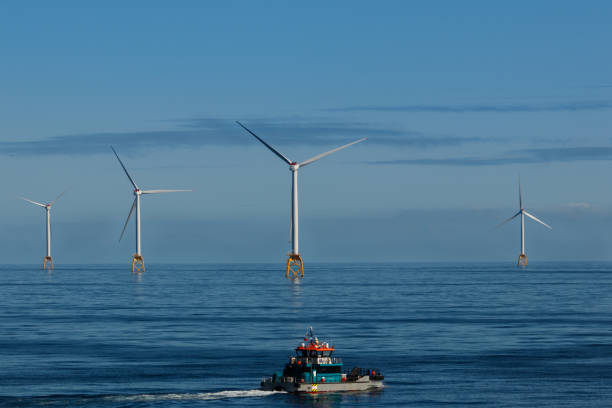 istock Daylight at northsea 1050251964