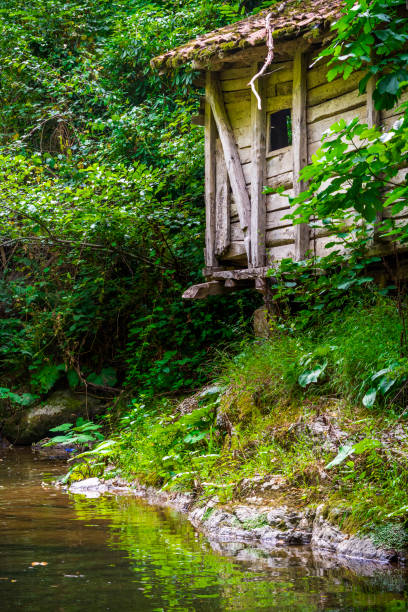 istock Kure Mountains National Park, Turkey 1050255614