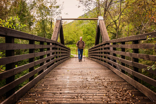 istock hike man with backpack walking in forest nature outdors bridge. 1050257946