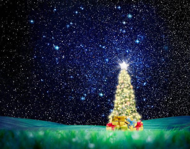 istock Christmas tree on green landscape over night sky with stars 1050262010