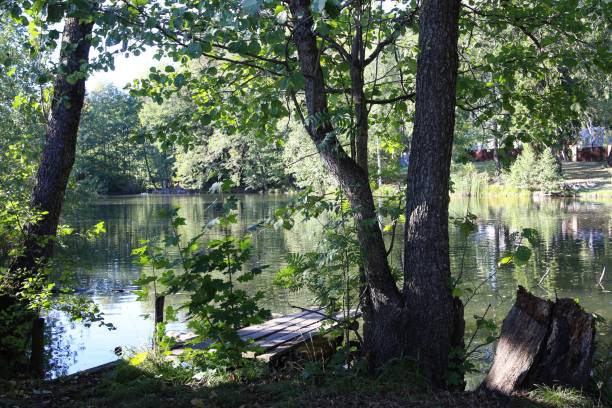istock Lake in the village. 1050264068