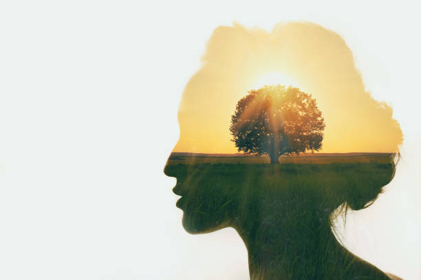 istock Personal development and business idea career concept. 1050266608