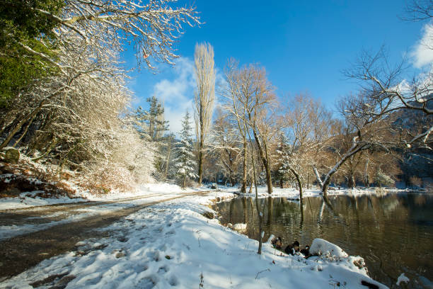 Turkey Izmir Black Lake (Karagol) winter landscape (Izmir Yamanlar)