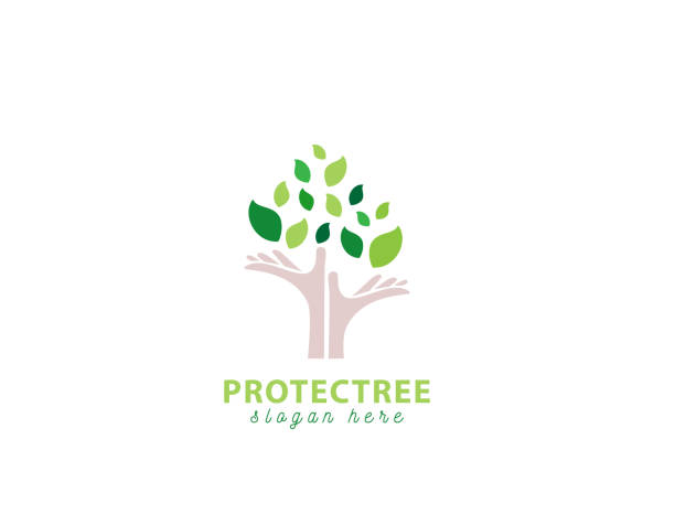 ilustraciones, imágenes clip art, dibujos animados e iconos de stock de árbol de la protección de las manos - ilustración - growth plant human hand tree