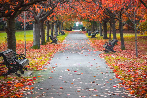 istock Autumn scene in Greenwich, London 1050274446