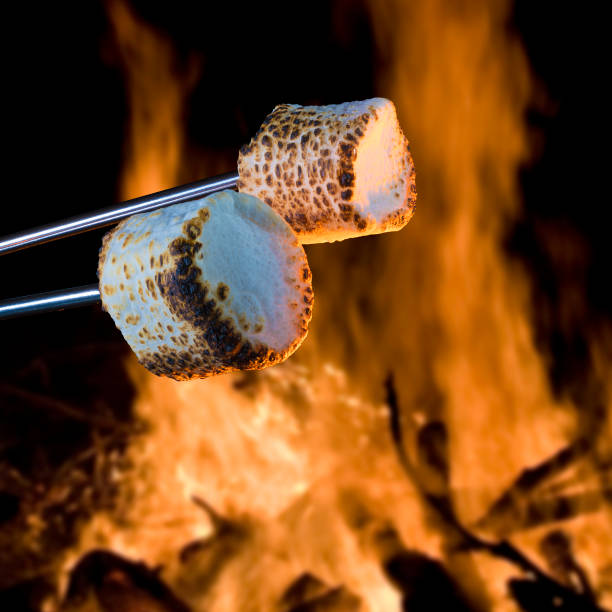 istock Pair of marshmallows roasing over a fire 1050277000