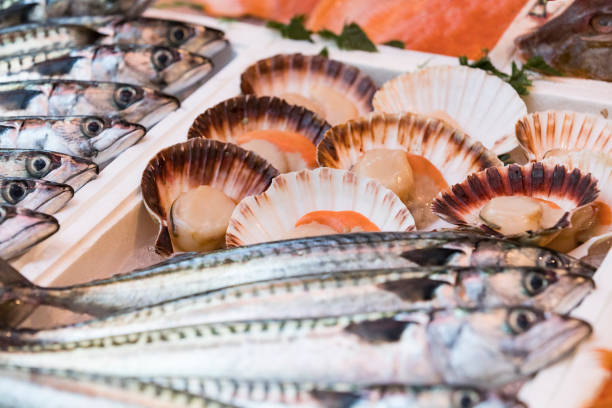 Background of fresh seafood fish clams crabs