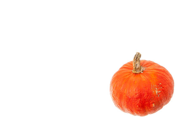 orange pumpkin crop isolated on white background stock photo