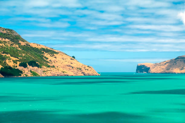 아카로 아, 뉴질랜드 남 섬 - akaroa banks peninsula bay sea 뉴스 사진 이미지