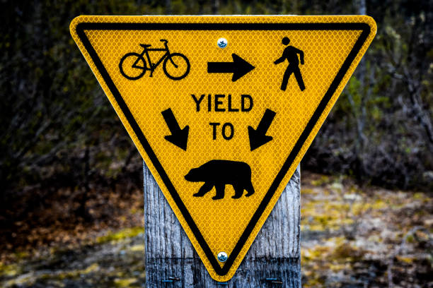 7,146 Funny Road Signs Stock Photos, Pictures & Royalty-Free Images -  iStock | Listen
