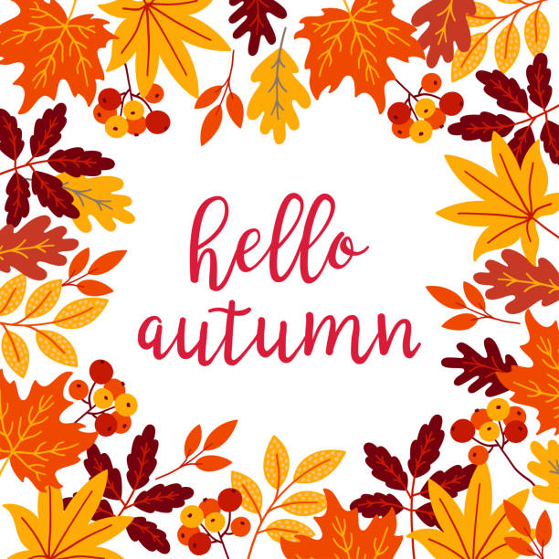 Autumn Greeting Card Autumn greeting card with rowan berry, maple and oak leaves. Perfect for seasonal greeting cards. autumn leaf color illustrations stock illustrations