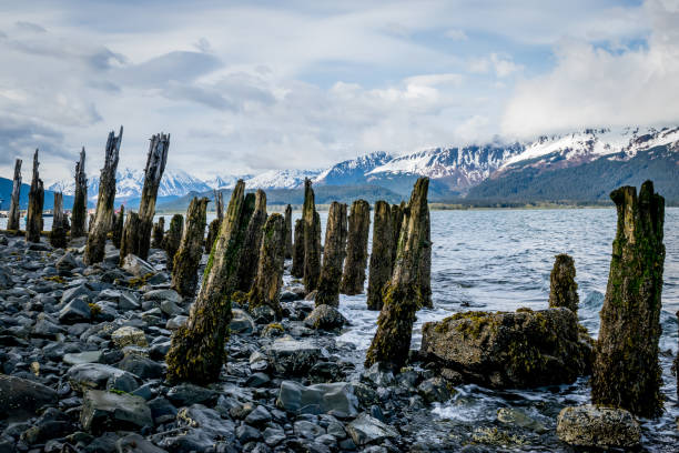 Rotten wood posts from ancient wharf with mountain range and cloudy sky in background. Seward in the Kenai Fjords National Park, Alaska
