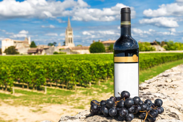 garrafa de vinho tinto no contexto das vinhas de saint emilion, bordeaux, frança - bottle bordeaux green wine - fotografias e filmes do acervo