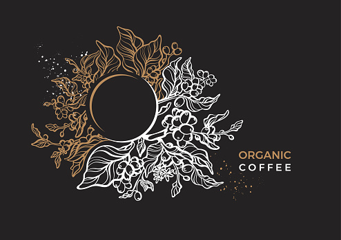 Vector nature floral template, elegant banner. Golden coffee branch, leaves flower, natural bean on black background. Organic herb plant Art deco design Luxury night garden, round cup with aroma drink