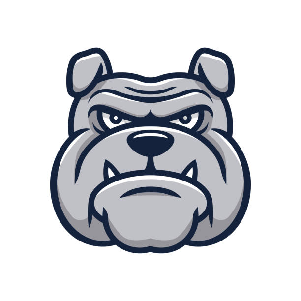 Head angry bulldog mascot Head angry bulldog mascot cartoon characters with big heads stock illustrations