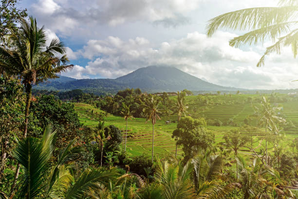 istock Jatiluwih Rice Terraces in Tabanan Bali 1050319476