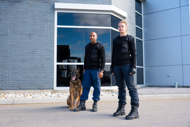 istock Two K-9 security professionals with a Belgian Malinois on guard. 1050325540