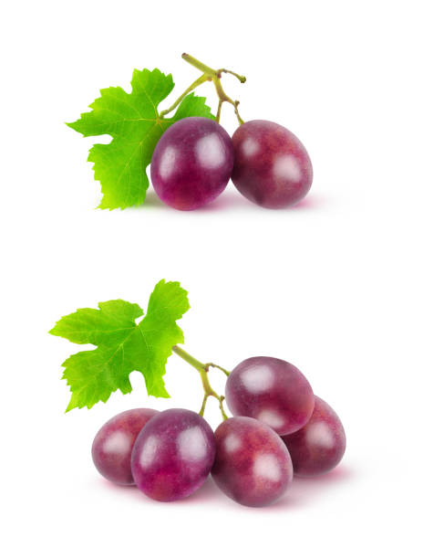 격리 된 붉은 포도 - red grape 뉴스 사진 �이미지