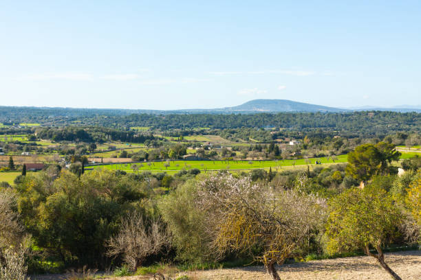 istock Landscapes around Costitx, Mallorca, Spain 1050326340