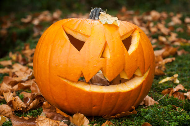 istock halloween pumpkin in the autumnal forest 1050329266